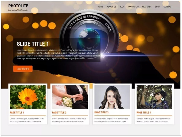 WordPress Themes: Photolite